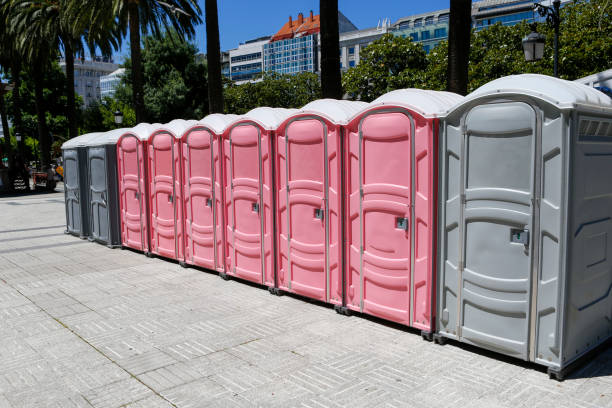 Best Standard Portable Toilet Rental  in Ferndale, MI